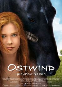 Восточный ветер (2013)