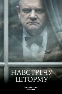 Навстречу шторму (2009)